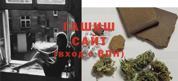 прущие грибы Алзамай