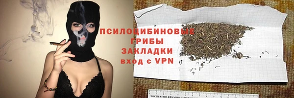 прущие грибы Алзамай