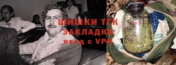 прущие грибы Алзамай