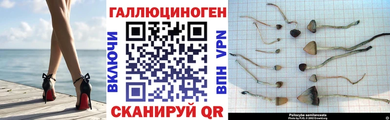 Галлюциногенные грибы ЛСД  Комсомольск 